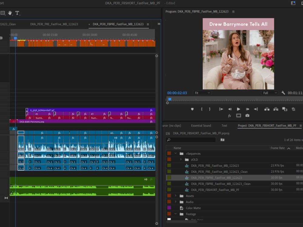 You will get a professional video editing service for engaging advertising content