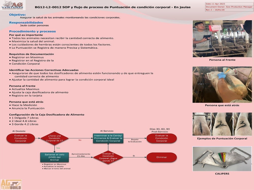 You will get Expert SOP Documents Creator - Streamlining Your Processes for Success