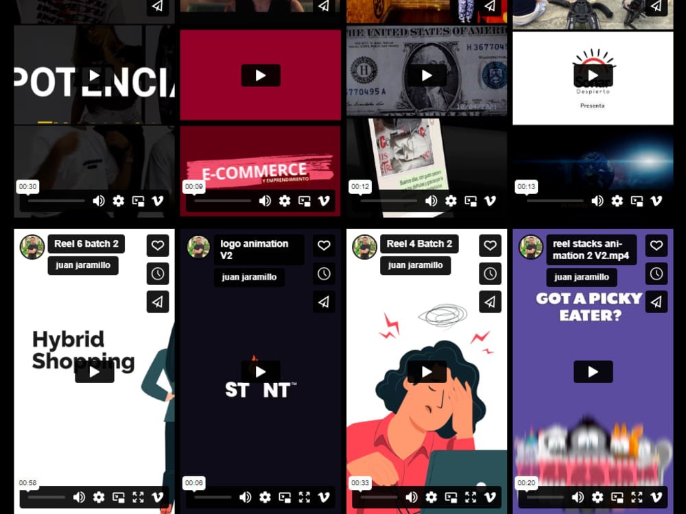 You will get a Video AD Creation package for E-commerce