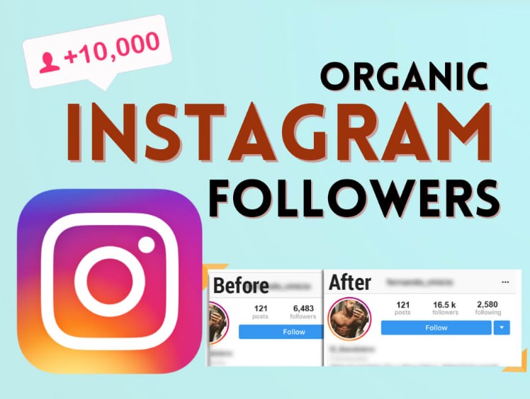 You will get Instagram Marketing Manager & IG Organic Growth Expert