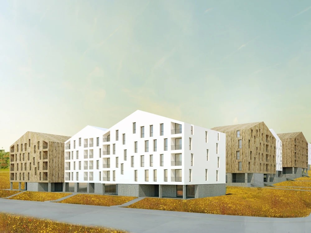 You will get full architectural design in Revit, for houses and villa projects.