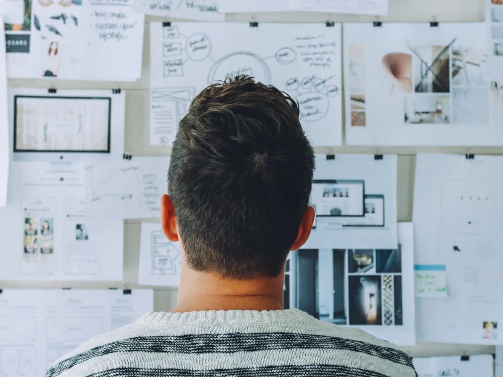 You will get a Startup business plan review and financial projections feasibility study.