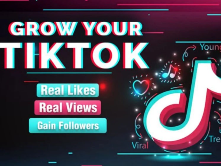 You will get TikTok marketing expert for random promotion, tiktok followers, view, like