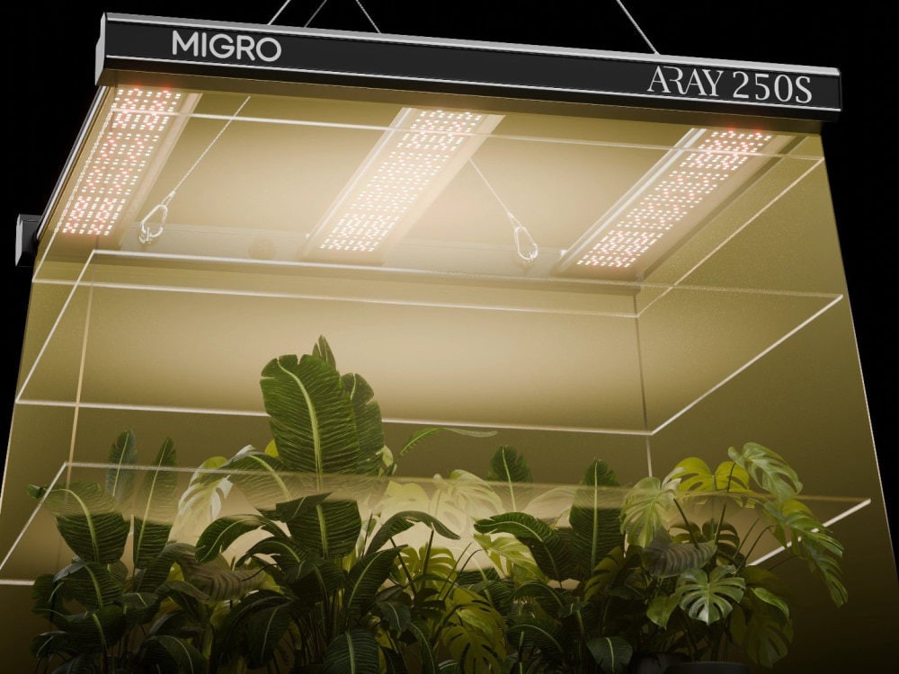 You will get Dynamic 3D animation for your product