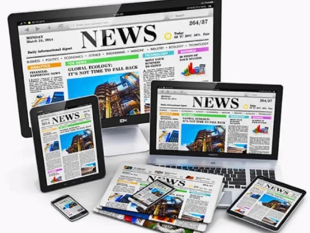 You will get Press Release Writing By Professional PR Writer