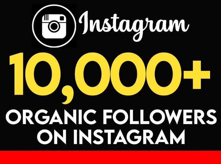 You will get Instagram Followers , Engagement, Promotion, Growth, Instagram Marketing