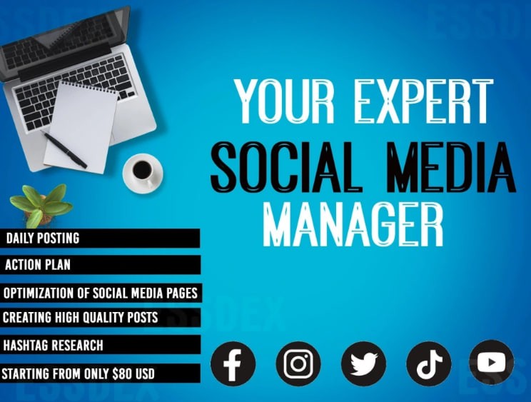 You will get professional social media management and content creation service